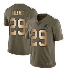 Men's Nike Carolina Panthers #29 Mike Adams Limited Olive/Gold 2017 Salute to Service NFL Jersey